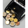 Mały, skórzany portfel męski na suwak - Rovicky
