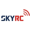 Ładowarka SkyRC e450 2-4S / 6-8S LiPo / LiFe / LiHV / NiMH