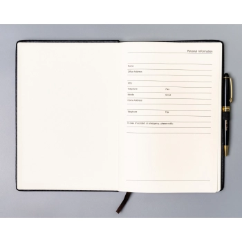Notes notatnik planer organizer z gumką Peterson B5 elegancki w linie