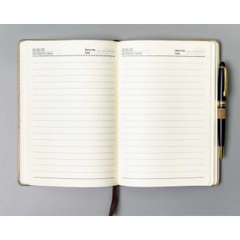 Notes notatnik planer organizer z gumką elegancki w linie B5 Peterson