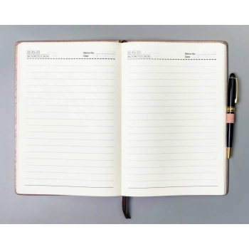 Notatnik planer notes organizer z gumką Peterson B5 elegancki w linie