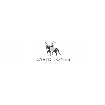 PLECAK DAMSKI METALLIC CHAIN PIKOWANY DAVID JONES