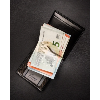 Portfel etui na banknoty karty ze skóry naturalnej slim cienkie Rovicky