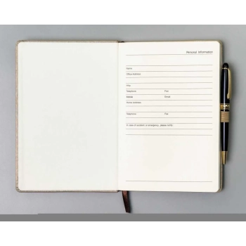Notes notatnik planer organizer z gumką elegancki w linie B5 Peterson