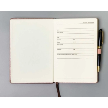 Notes organizer notatnik planer z gumką elegancki A5 w linie Peterson
