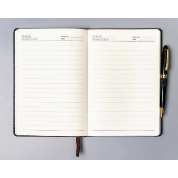 Notes organizer notatnik planer Peterson w linie elegancki z gumką A5
