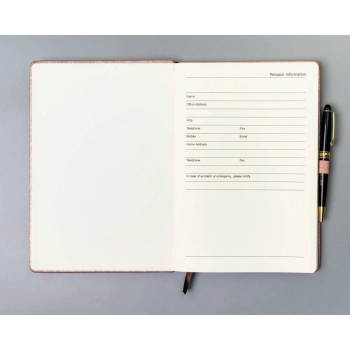 Notatnik planer notes organizer z gumką Peterson B5 elegancki w linie